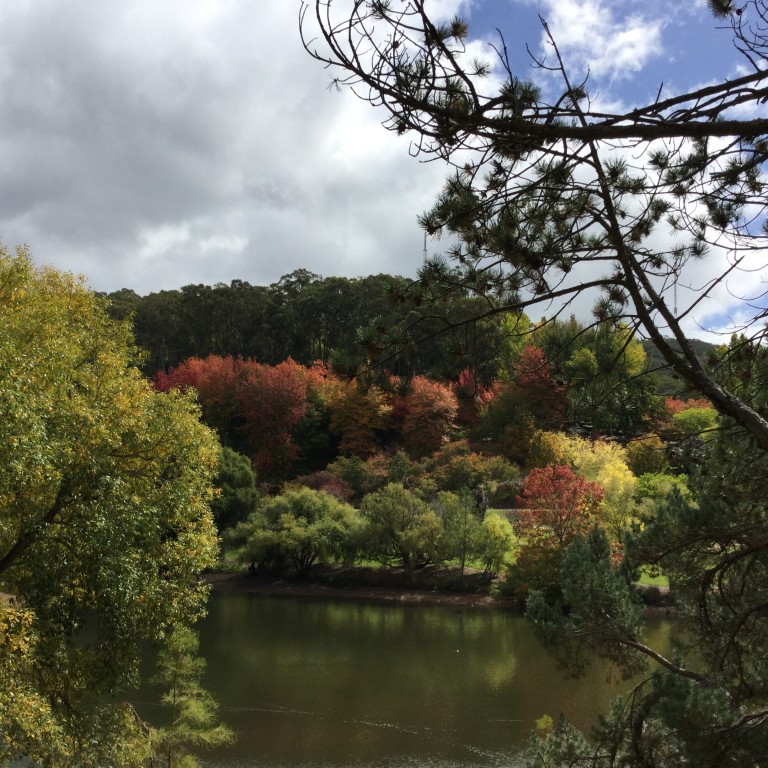 Taking time to – appreciate Autumn leaves